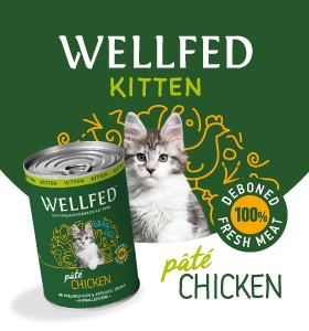 Wellfed Kitten Sidebar