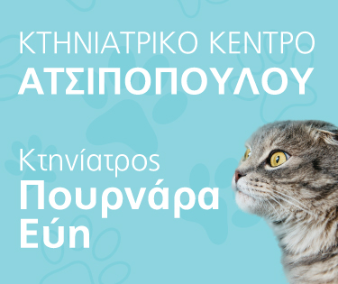Atsipopoulou 375x315