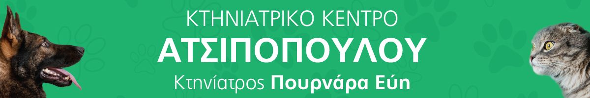 Atsipopoulou 1200x200