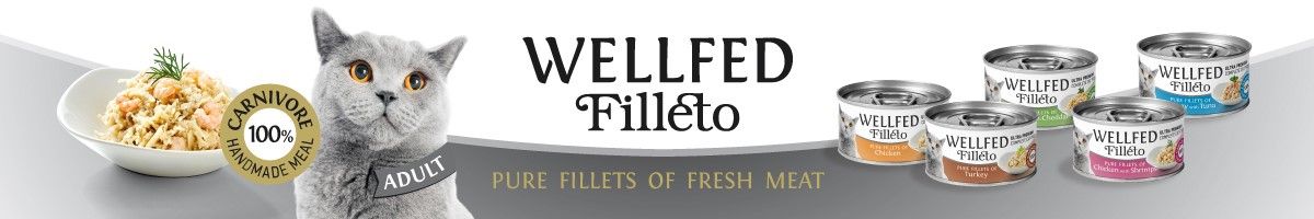Wellfed Filleto Main